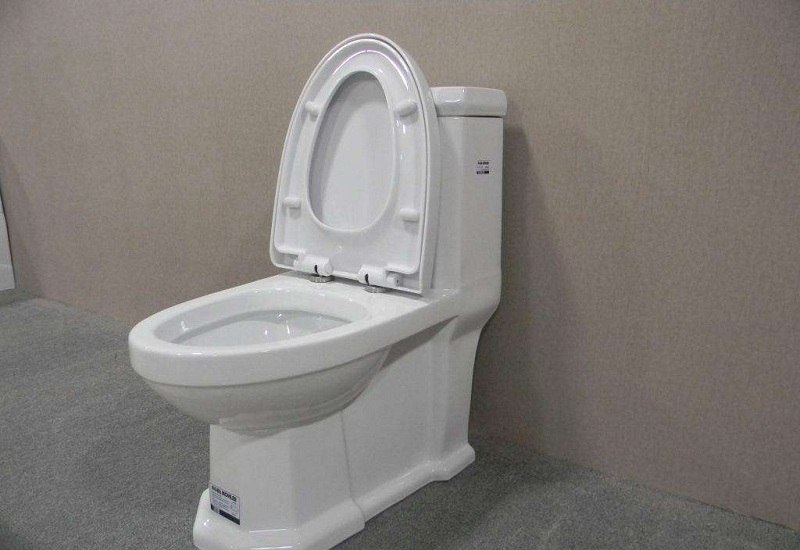Que pó é usado para assento e tampa do vaso sanitário?
    